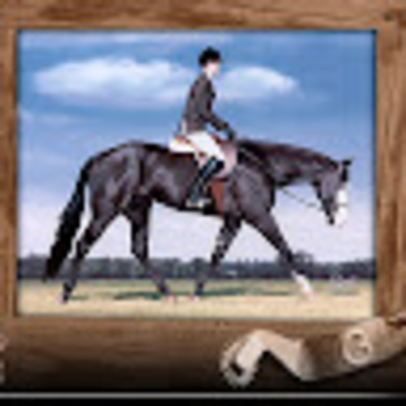 Meet your Posher, Gillespie - Picture 1 of 1